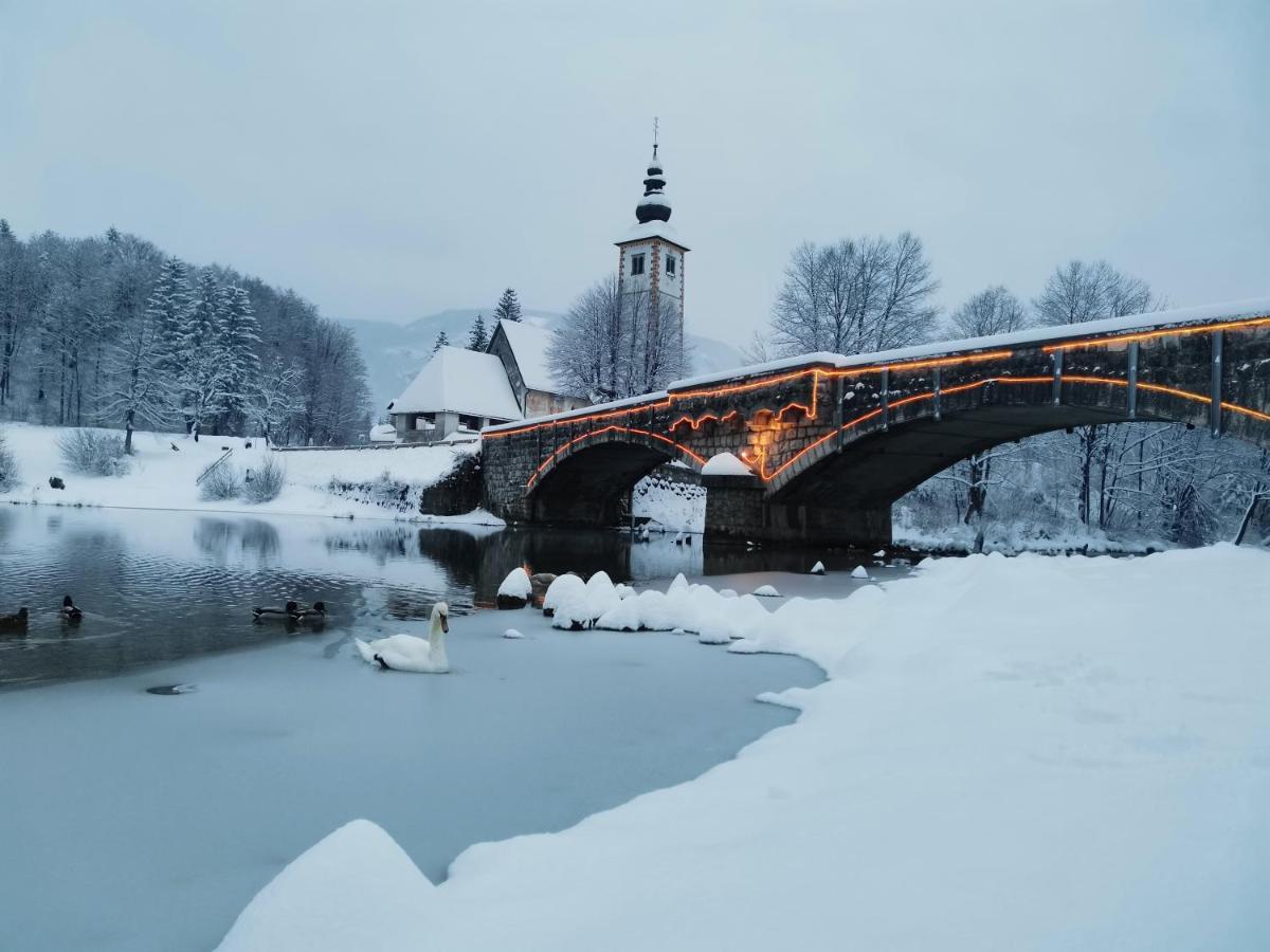 Cottage Suha Bohinj Dış mekan fotoğraf